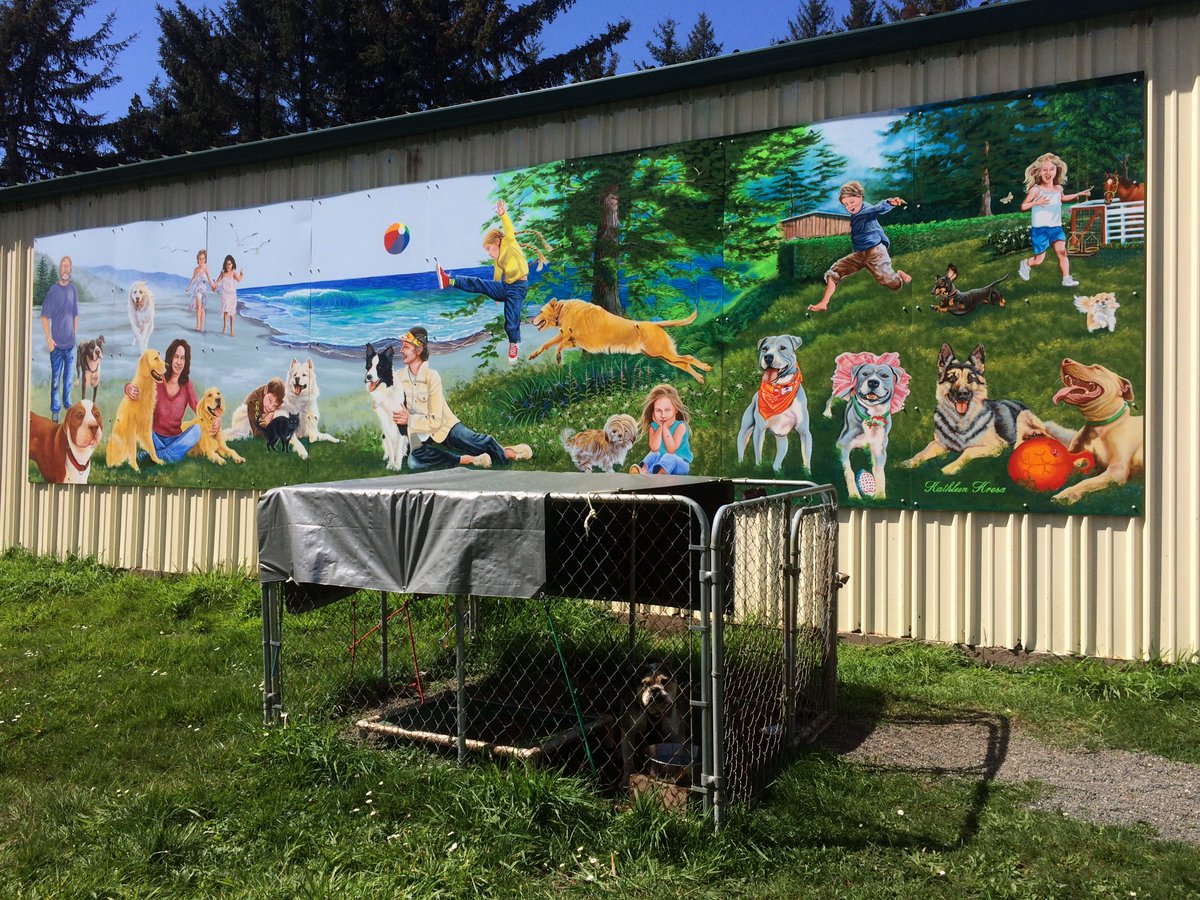 SSPSmithRiver's tweet photo. Look! A mural on the building #ssp2k15 vols painted at Del Norte County's animal control. @SierraServProj #sspets https://t.co/nC0g3FLqVK