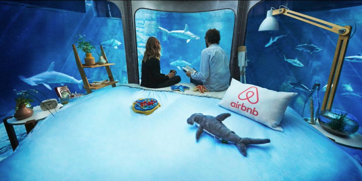GhouliaChilds's tweet photo. Airbnb and Paris Aquarium team up to let you SLEEP IN A SHARK TANK. #ThingsIWouldNeverDo  https://t.co/oE9mOiQe4N https://t.co/IdREZvRN7z