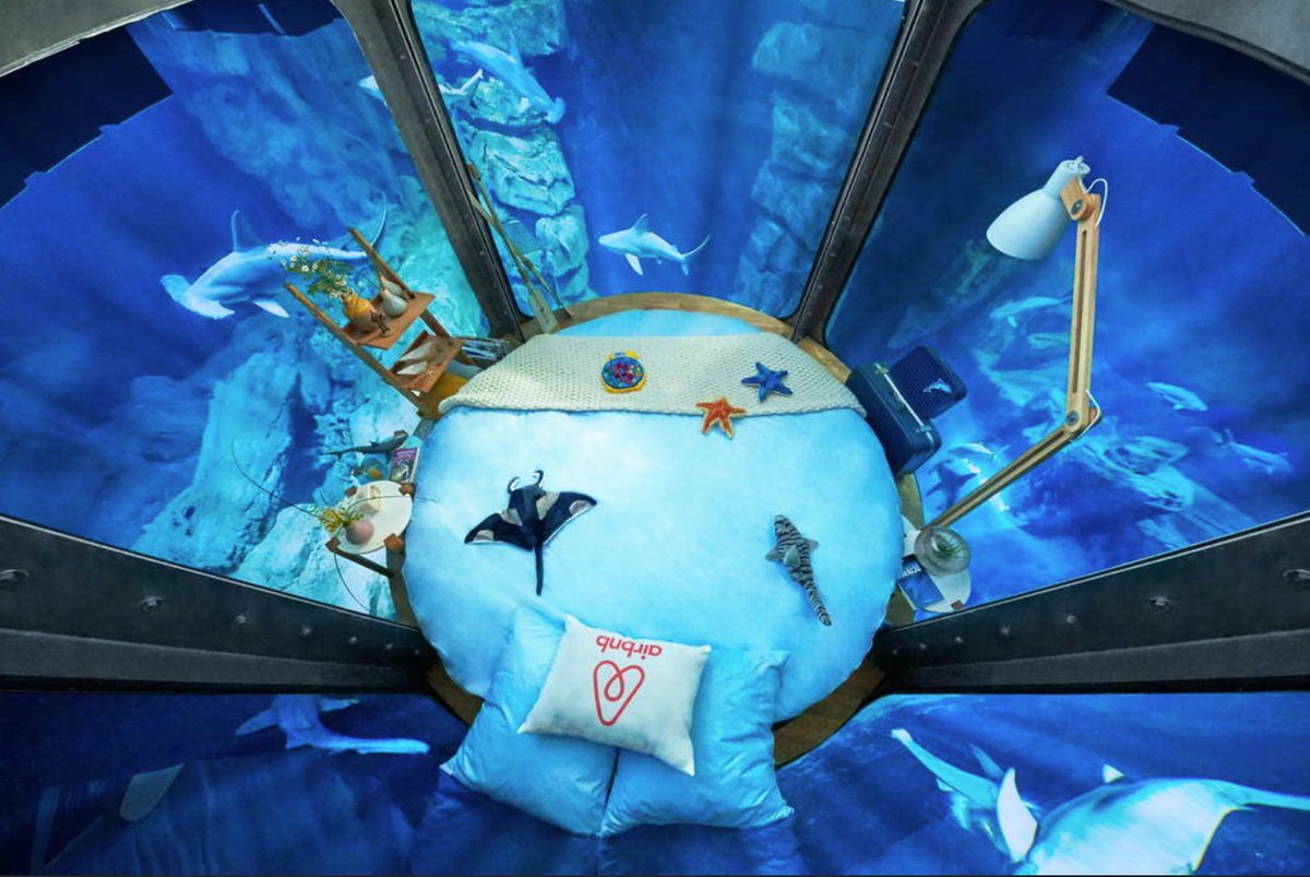 GhouliaChilds's tweet photo. Airbnb and Paris Aquarium team up to let you SLEEP IN A SHARK TANK. #ThingsIWouldNeverDo  https://t.co/oE9mOiQe4N https://t.co/IdREZvRN7z