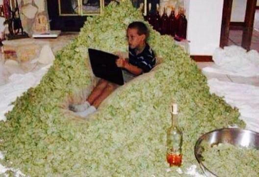 ColoradoSeed's tweet photo. When your mom walks into your room without knocking https://t.co/JWNubZhca2
