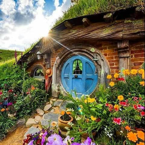 Faysal younis tweet media