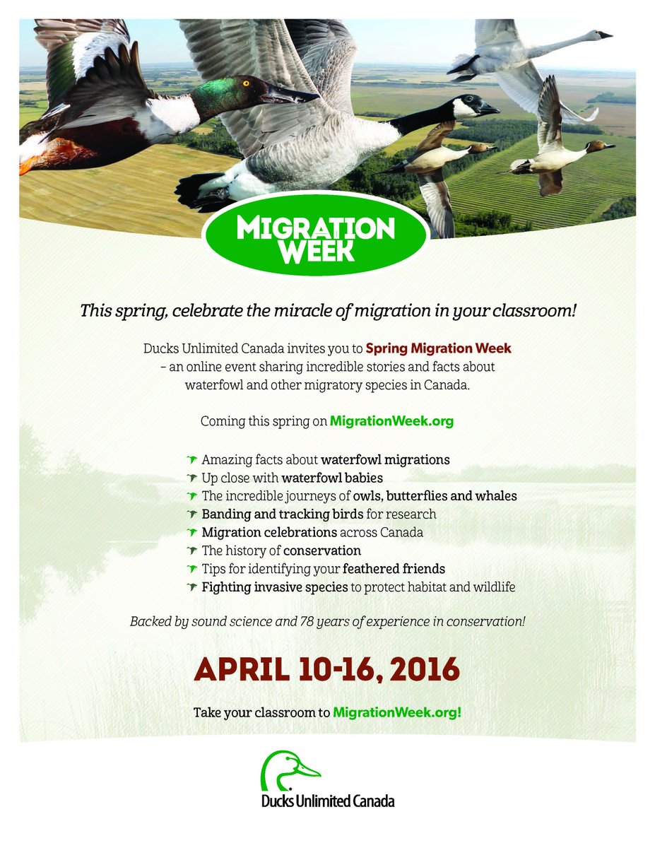 ducanada's tweet photo. #Teachers #Educators et al: visit #SpringMigrationWeek for cool #wildlife #bird &amp; #nature facts &amp; stories! Apr 10-16 https://t.co/BZz7fMjSPW