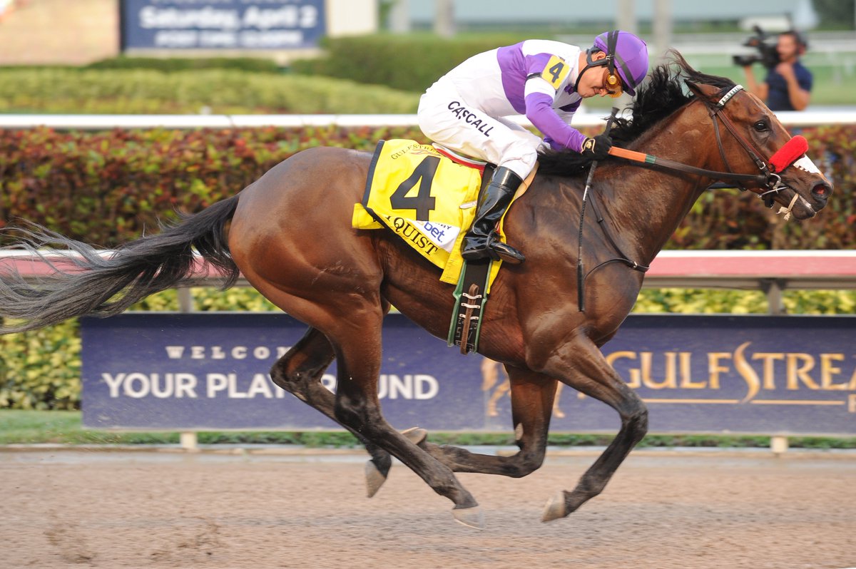 racing_dudes's tweet photo. Unbeaten Champ Nyquist is Strong Favorite in Final Pool of 2016 @KentuckyDerby Future Wager https://t.co/PPzNbiWJUU https://t.co/w3AnvlotrL