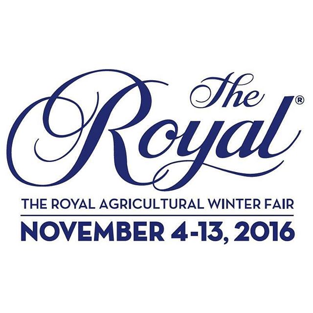 Semex's tweet photo. Officially 6 months today. #countdownison #RoyalFever #royalhorseshow 📷: @theroyalfair https://t.co/trvDDrBHRu