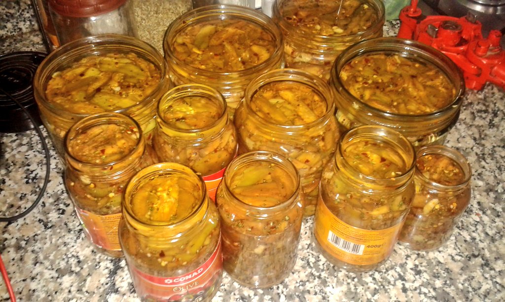 rosy89na's tweet photo. Ma cosa ne sanno al nord... #mulignan #sottolio #homemade #missyou #aspettandosettembre https://t.co/FP6s488lh6