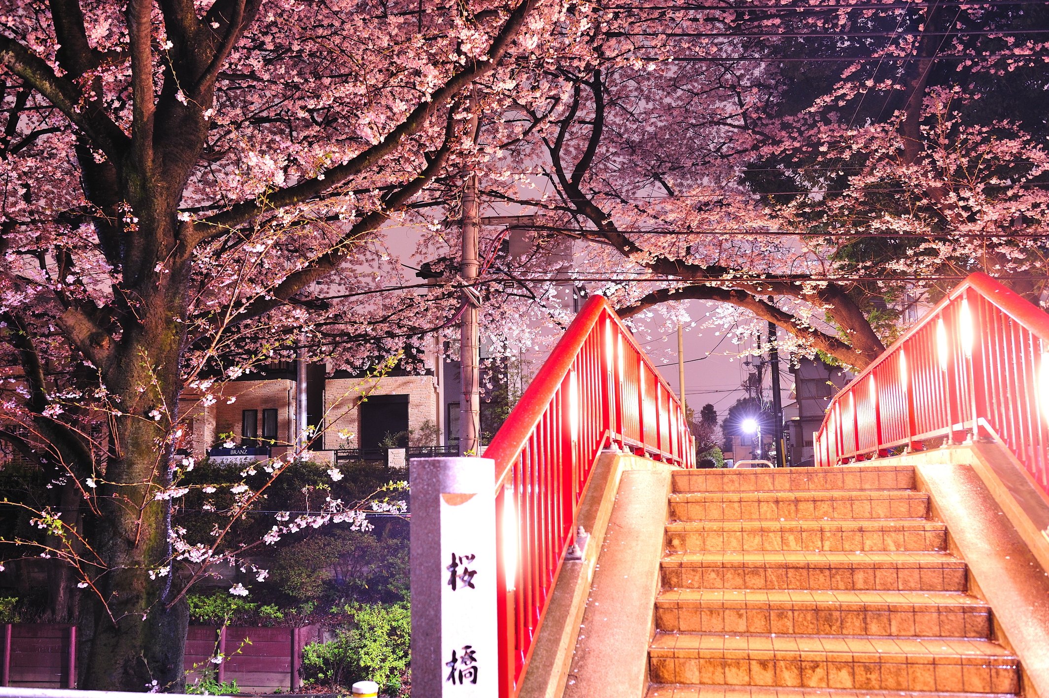 桜坂近辺物語 Twitter Search Twitter