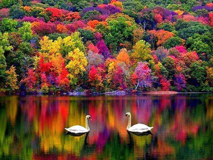 enyteddy's tweet photo. Apri gli occhi ..guarda la bellezza che ti sta intorno https://t.co/UkCWqHOC4l