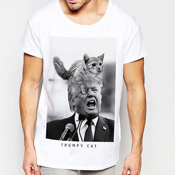 Trumpy Cat. Soon on suara-store.com? <a href="/suaramusic/">Suara</a>