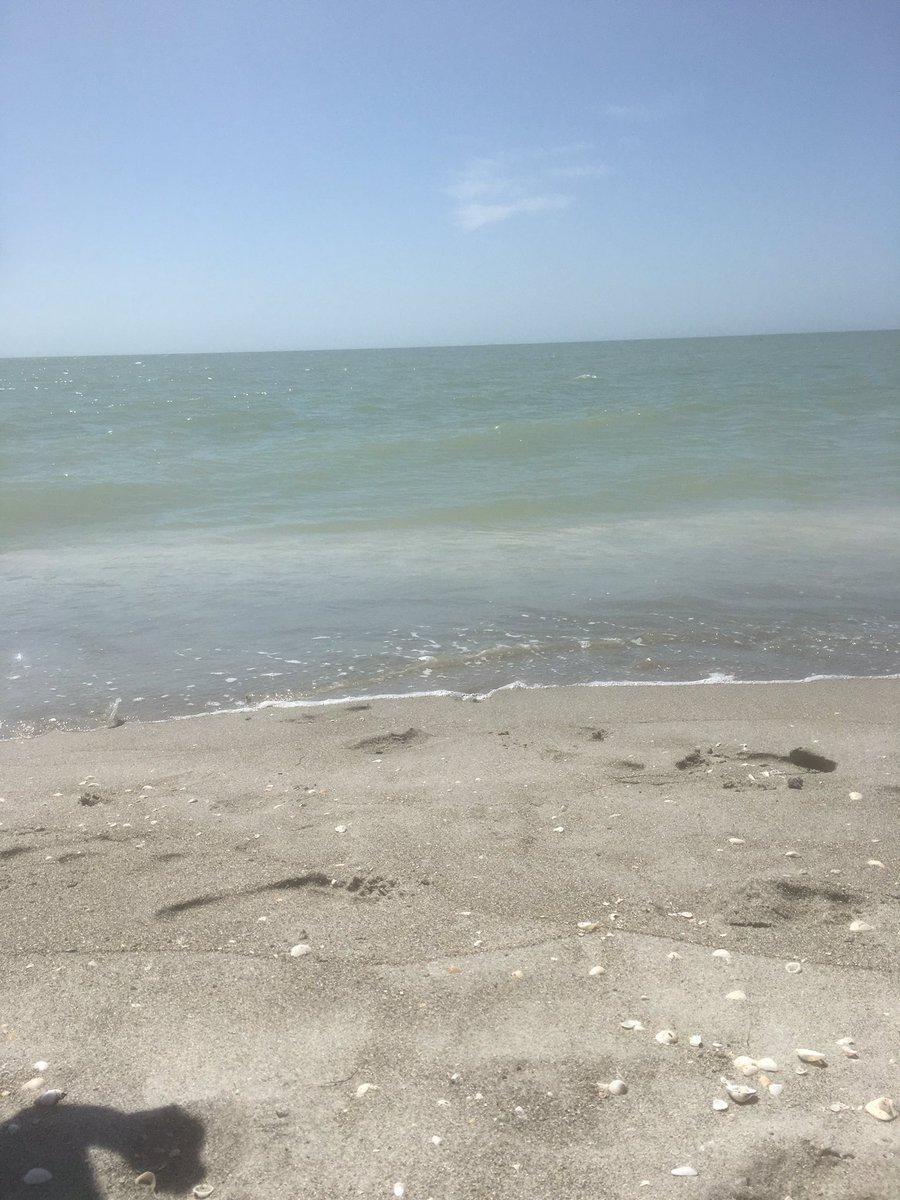 HighReverend's tweet image. #rough life#salt life