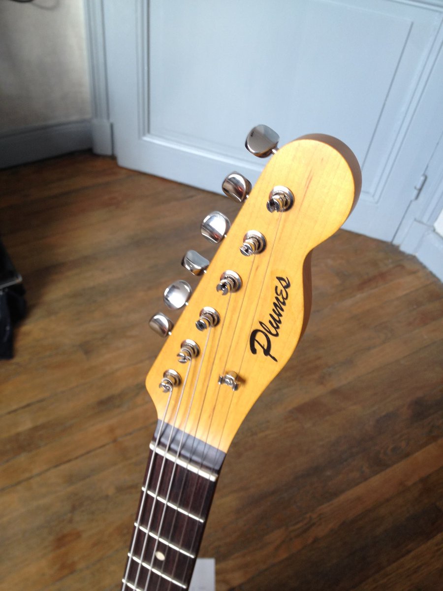 Veronica's new guitar, made especially for her in France!