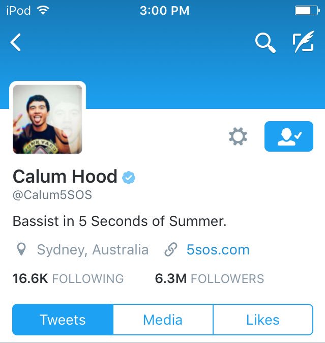 Apollo5SOS's tweet image. Ash, Cal, and Luke's bios vs. Mikey's