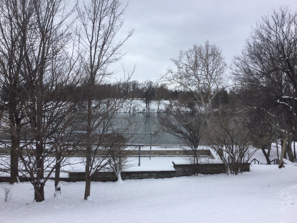 ToddSantos4's tweet image. Sledding hill covered at Delaware Park #backToWinter Near record lows tonight. Latest #News4at5