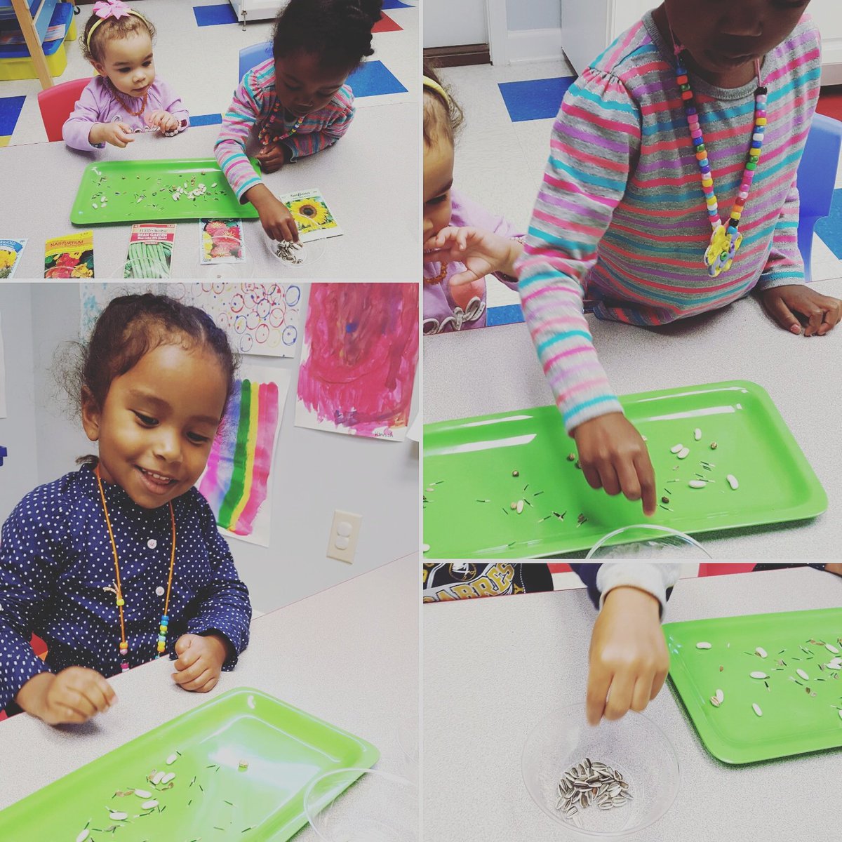 tweet_CKC's tweet photo. Who knew seed sorting could be so fun! #seeds #gardeningwithkids #ckckids #gastoniachildcarecenter https://t.co/d078gWgW99