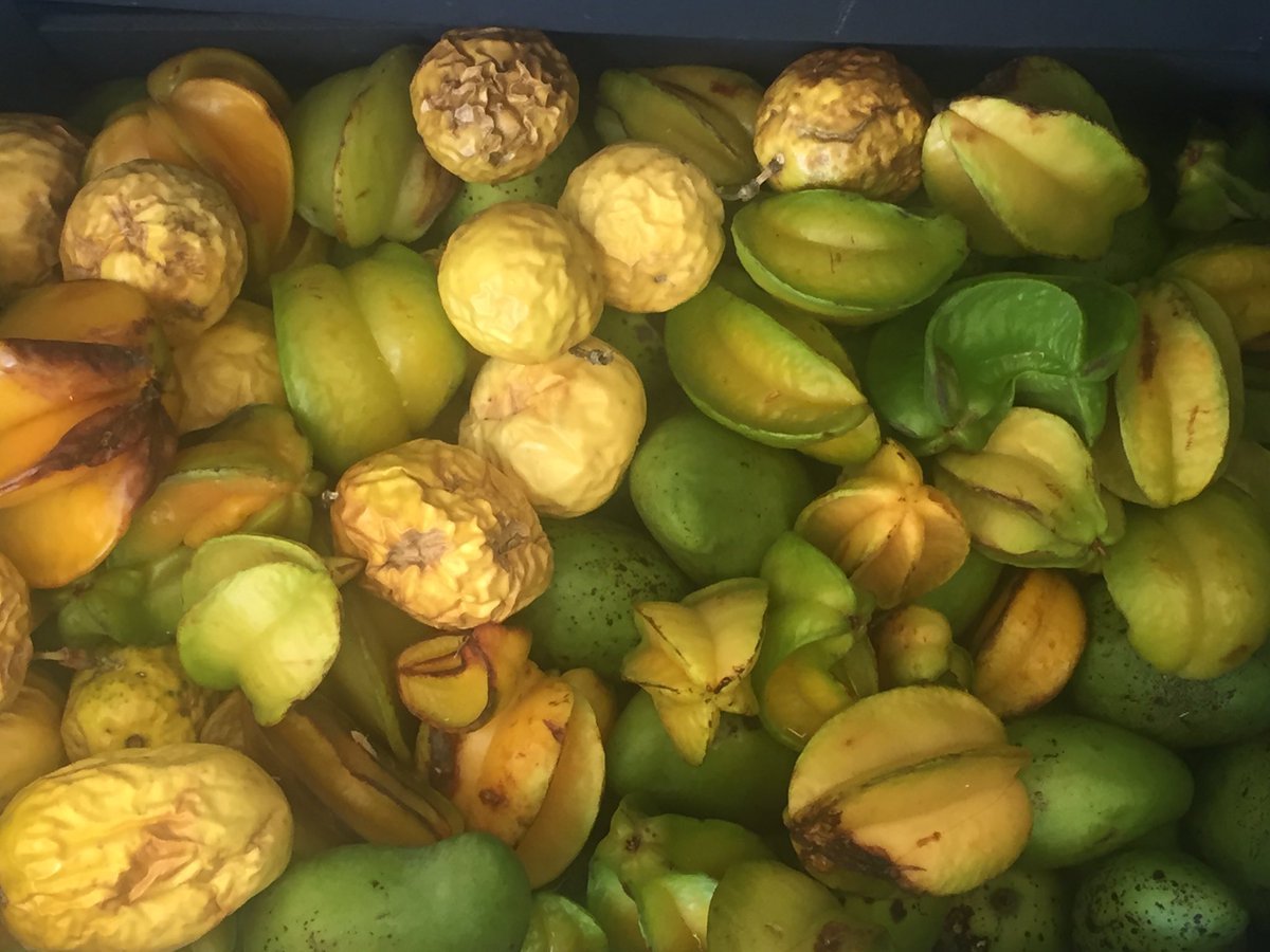LifeMuseumML's tweet photo. #ARTIsEveryWhere #Chinamperia cultivo milenario que debemos rescatar! Vayan al @ClaustroSJuana 4-8 abril #LifeMuseum https://t.co/9T56KXwt0n