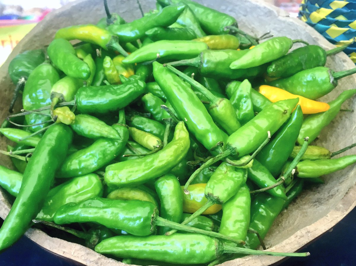 LifeMuseumML's tweet photo. #ARTIsEveryWhere #Chinamperia cultivo milenario que debemos rescatar! Vayan al @ClaustroSJuana 4-8 abril #LifeMuseum https://t.co/9T56KXwt0n