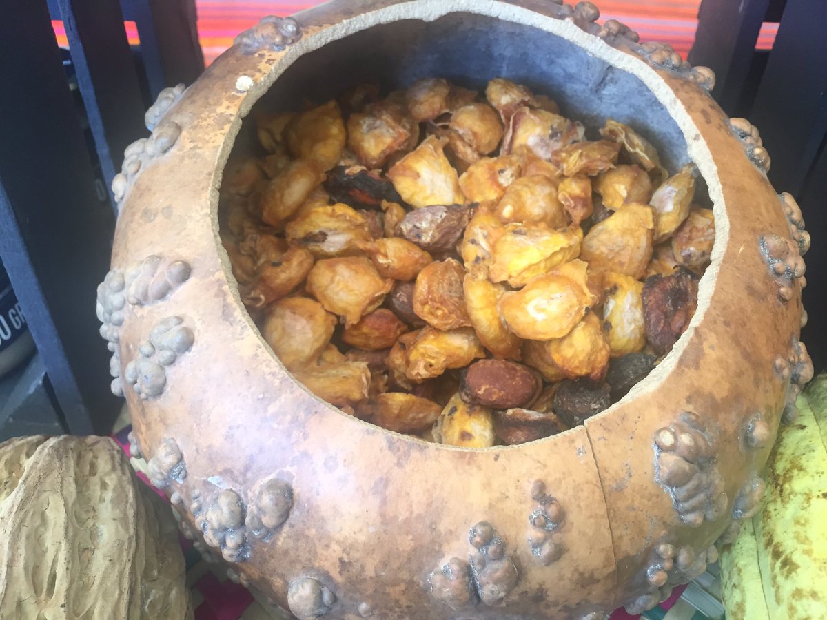 LifeMuseumML's tweet photo. #ARTIsEveryWhere #Chinamperia cultivo milenario que debemos rescatar! Vayan al @ClaustroSJuana 4-8 abril #LifeMuseum https://t.co/9T56KXwt0n