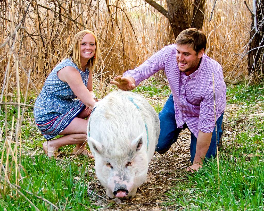 You need to see the adorable way this pig stole the show in his owners' engagement photos: knot.ly/6013BiWCd