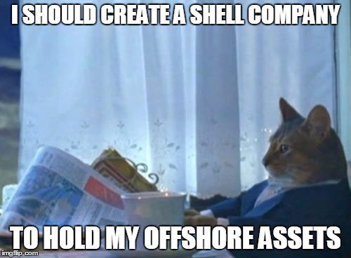 e2thej's tweet image. This cat knows what&apos;s up. #PanamaPapers #ShellCompany #OffshoreAssets