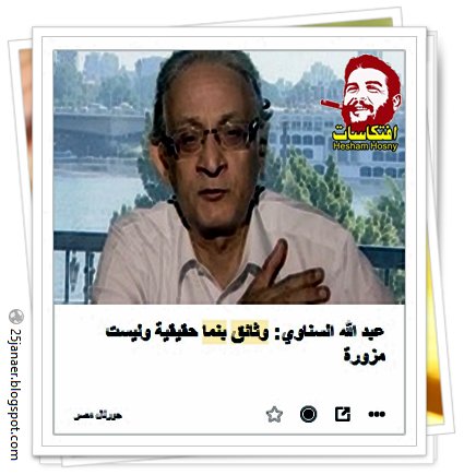 عبد الله السناوي: وثائق بنما حقيقية وليست مزورة