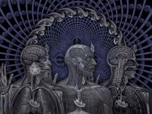 circlepit78's tweet photo. #TOOL #lateralus #toollateralus #pantera #dimebagdarrell #kurtcobain #Nirvana #metal #grunge #heavymetal #heavymusic https://t.co/UszqDW38pN