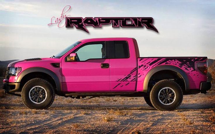 RaptorErotica's tweet photo. Pink Lady Raptor #RaptorErotica #raptor #ford #fordraptor #offroading https://t.co/RLbivwwbSe
