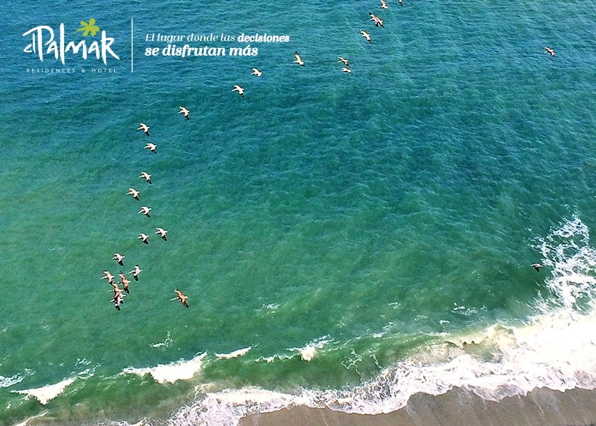 DecuriaGroup's tweet image. Los lunes en #elPALMAR los disfrutamos ¡Ven y disfruta con nosotros! bit.ly/1PmICSD