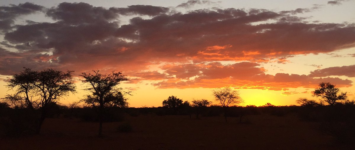 Armin du Preez tweet media