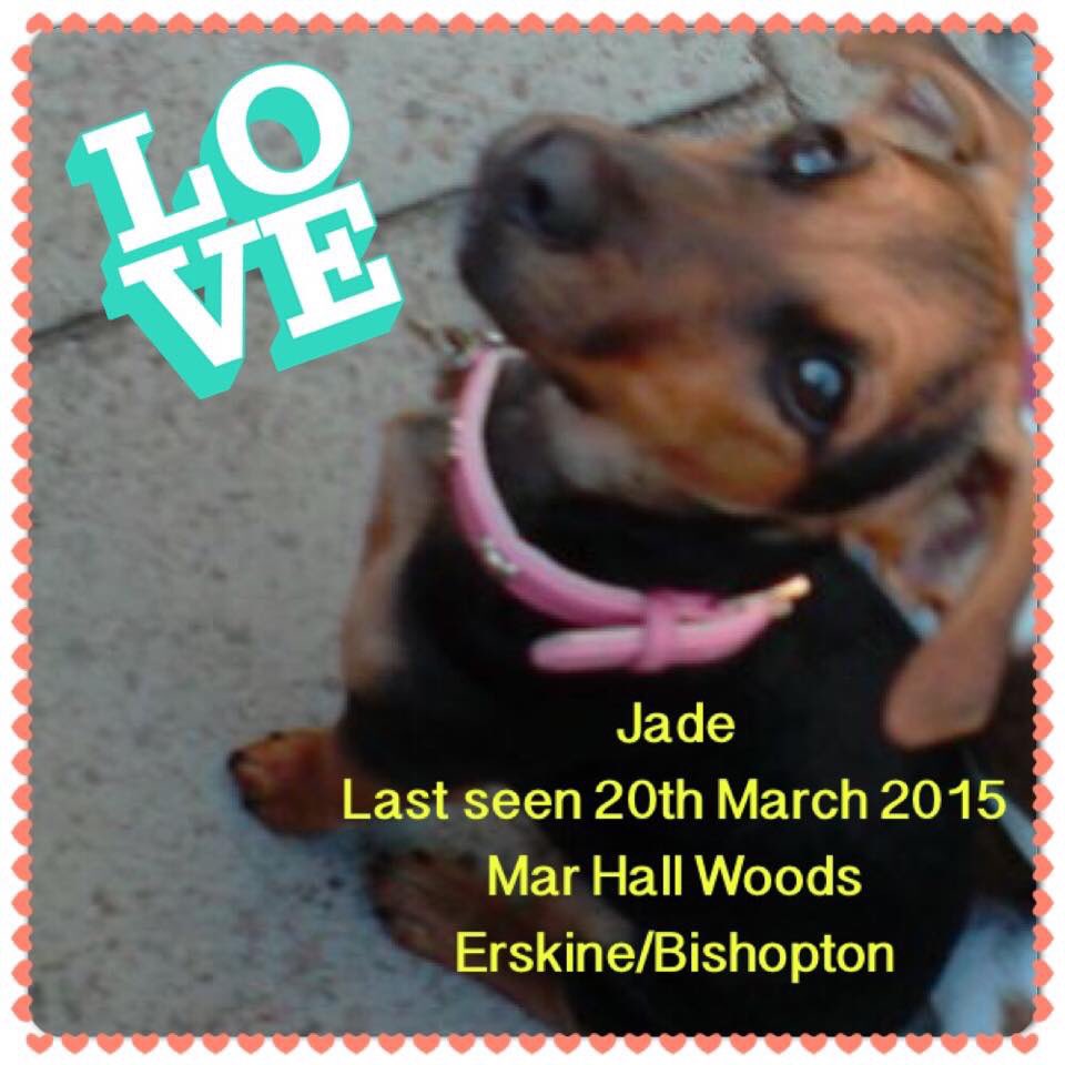 <a href="/findrubyandjade/">Find Ruby & Jade</a> 💕