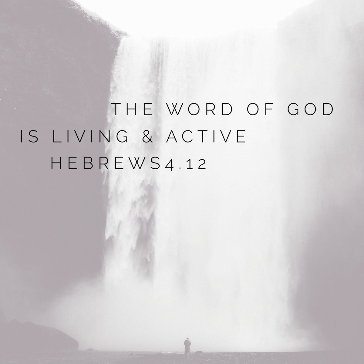 PRC Youth (@prc_youth) / Posts / X