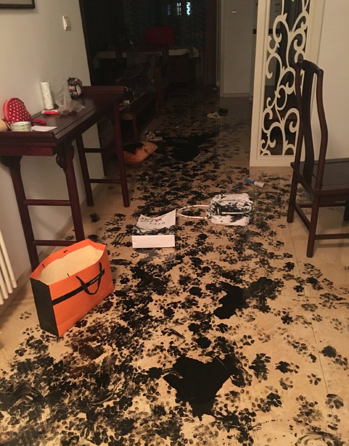 【大惨劇】それは隠れたくもなるwww帰宅後の自宅の光景が衝撃的すぎる!!