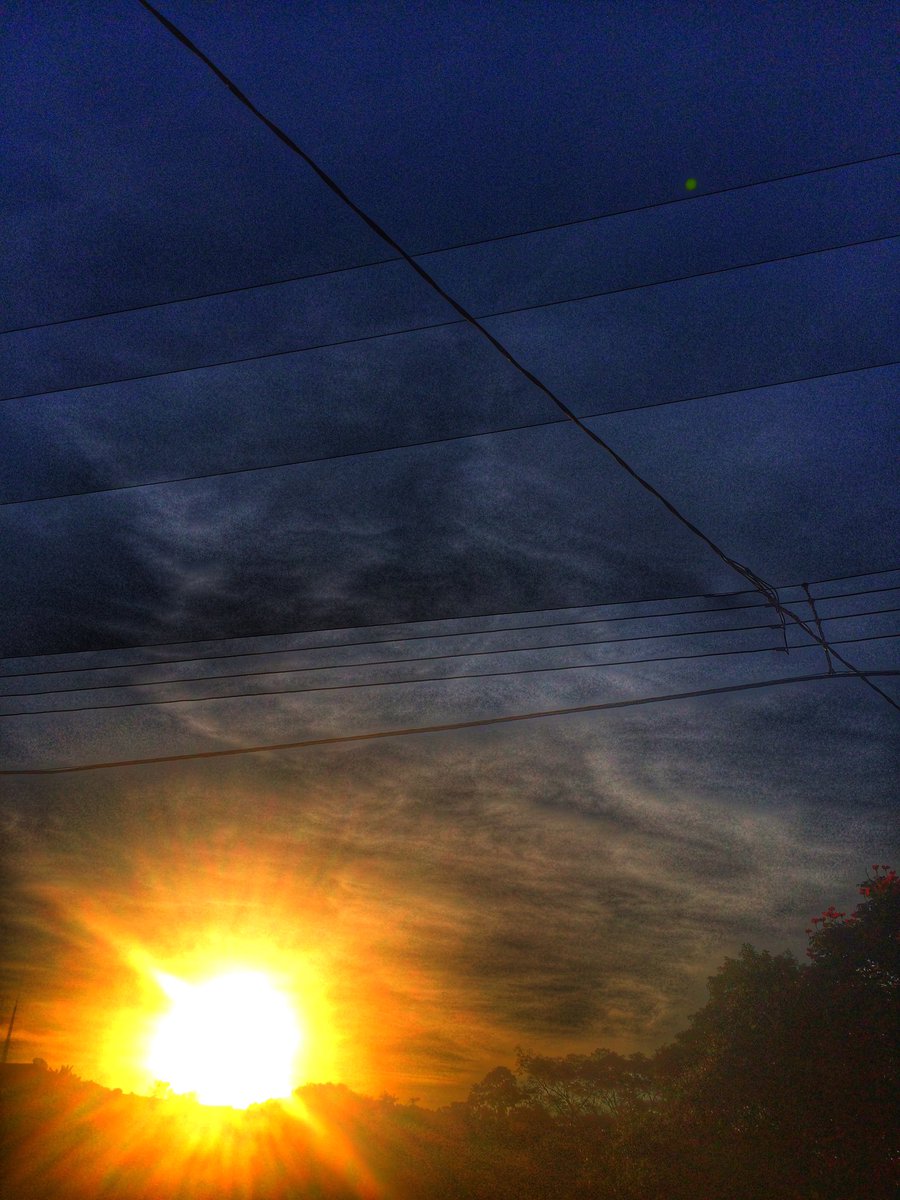 aliissonh's tweet photo. Fim de tarde no capão. #fotografia #fotografy #capaobonito https://t.co/pOacYk6ai0