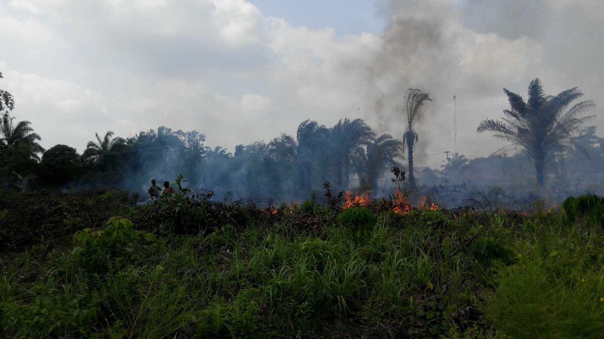 Pembakaran lahan dengan sengaja masih terjadi di beberapa tempat di Riau. Petugas berhasil memadamkan api.