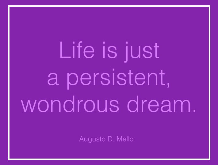augustodmello's tweet photo. "Life is just a persistent, wondrous dream."

#life https://t.co/mL5lKSD24z