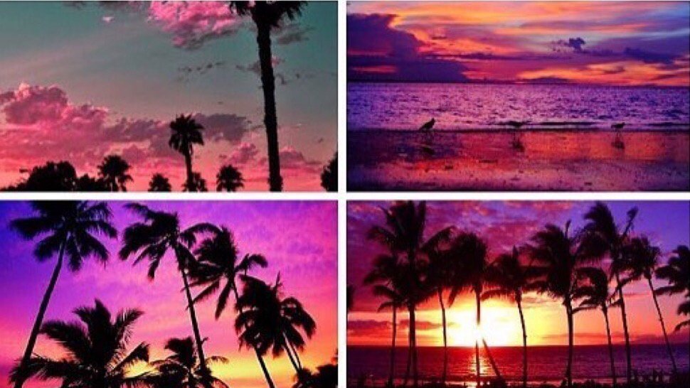sumGirlsLife's tweet photo. Take me to Cali🙌🏽🌅 https://t.co/jIjax3Sp4e