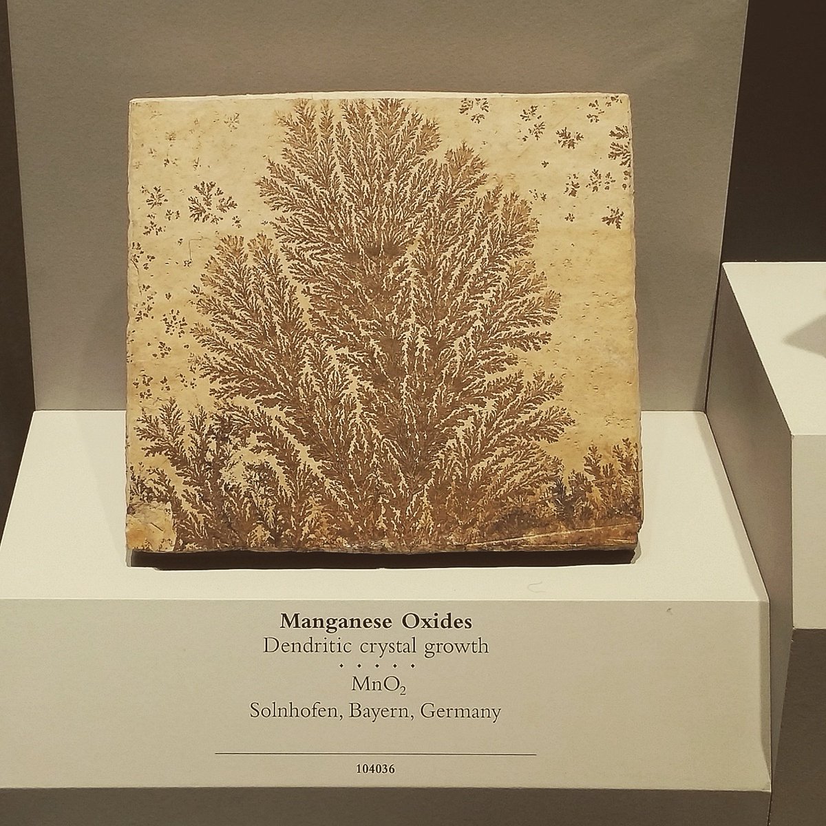 Ranger_Mariya's tweet photo. #RangerMariya went to the #Smithsonian for the #geology exhibits :) #DC #dayoff #rocks #minerals https://t.co/C7baC2ED7J