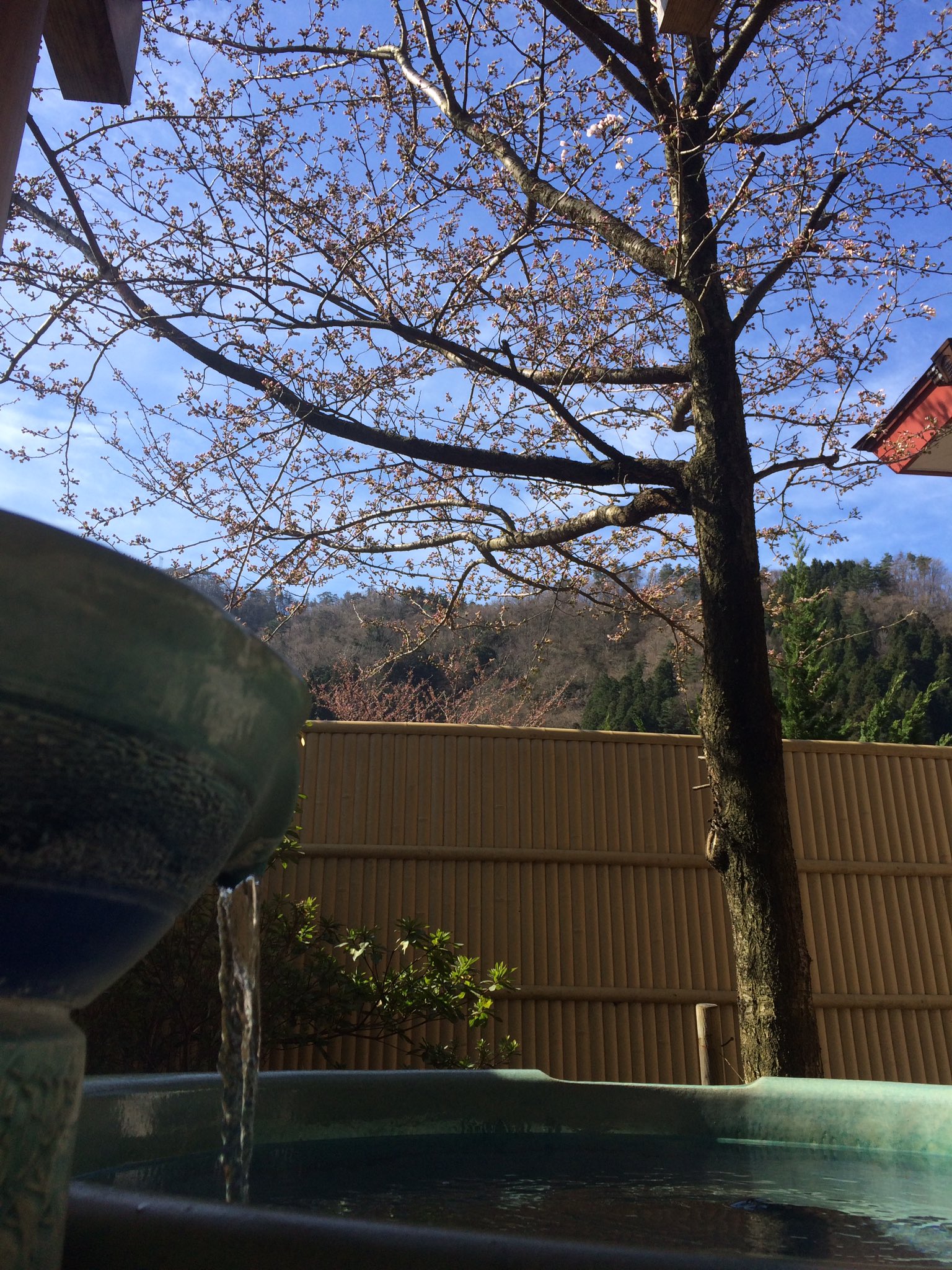 Follow 公式 ゆらりゆら 水鳥の宿 さきはな S Hotelsakihana Latest Tweets Twitter