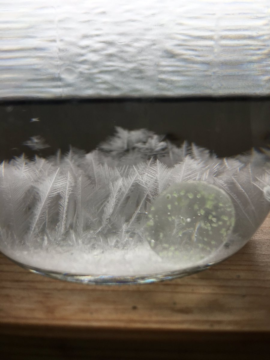 今日の天気管。右が一般に公表されてる作成の分量。左は、夏に向けて、樟脳の量を若干増量してみたもの。今はもふもふ多いけど、これはこれでいい感じ。