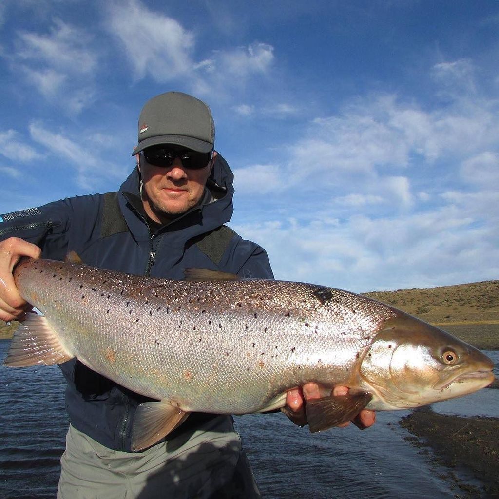 sunrayflyfish's tweet photo. Biiiggg #seatrout on the #sunrayflyfish #lowrunner #lowdiameter #shootinghead @solidadvent… https://t.co/mxXtUjQpEr https://t.co/RhUER8GxUy
