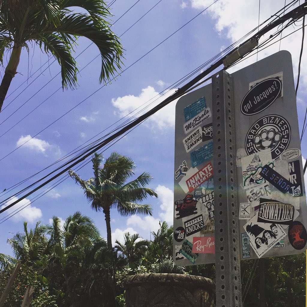 bread_tweets's tweet photo. Aloha from Oahu! #gotJacques? #Hawaii #Oahu #Aloha #JacquesInASmock #KidLit #ChildrensBooks #Books #PictureBooks https://t.co/B1IHQc5Hjs