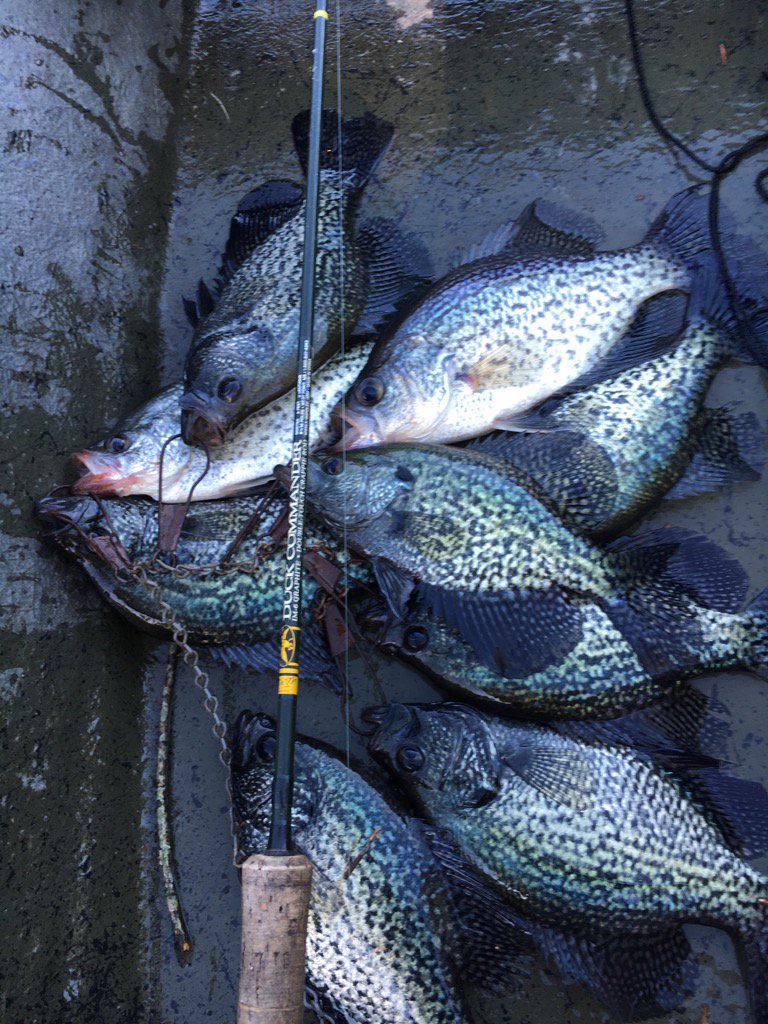 35 minutes of fishing. <a href="/FinCommander/">Fin Commander</a> <a href="/BnMPoles/">B'n'M Fishing</a>