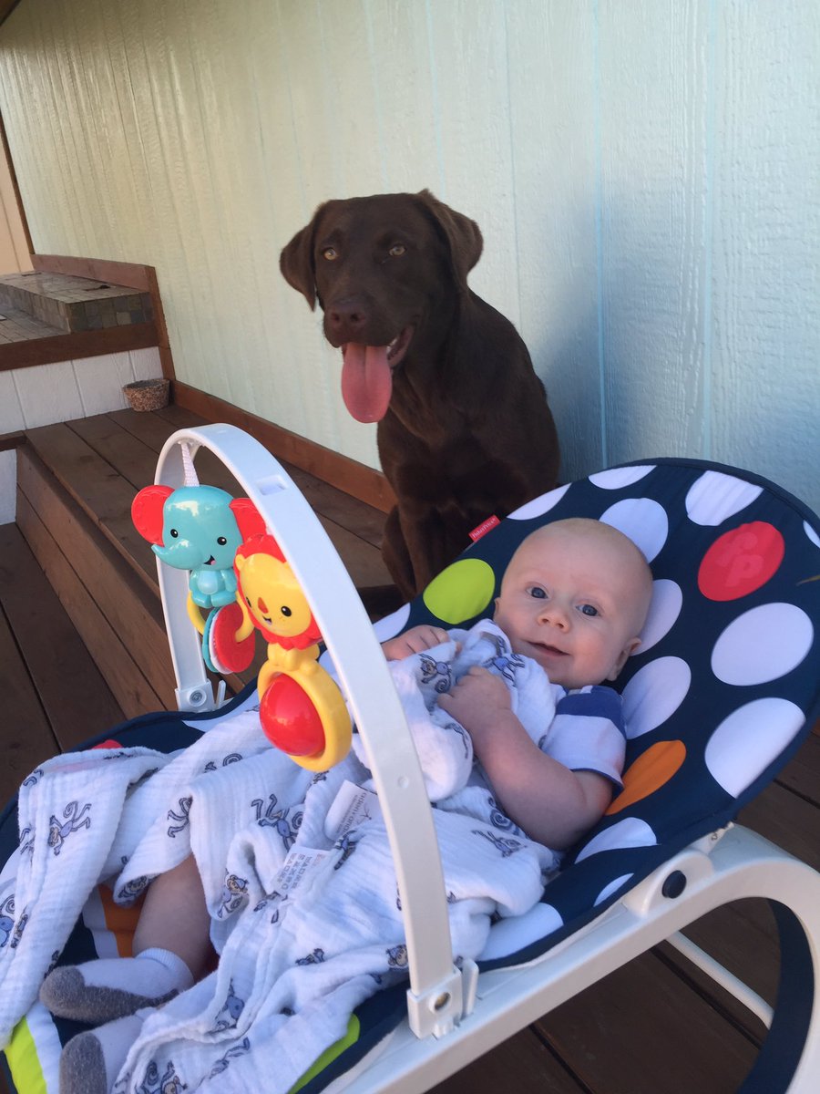 _fairwater's tweet photo. These two are trouble! #fairwatercharters #baby #puppy https://t.co/WqhTEyMb8W