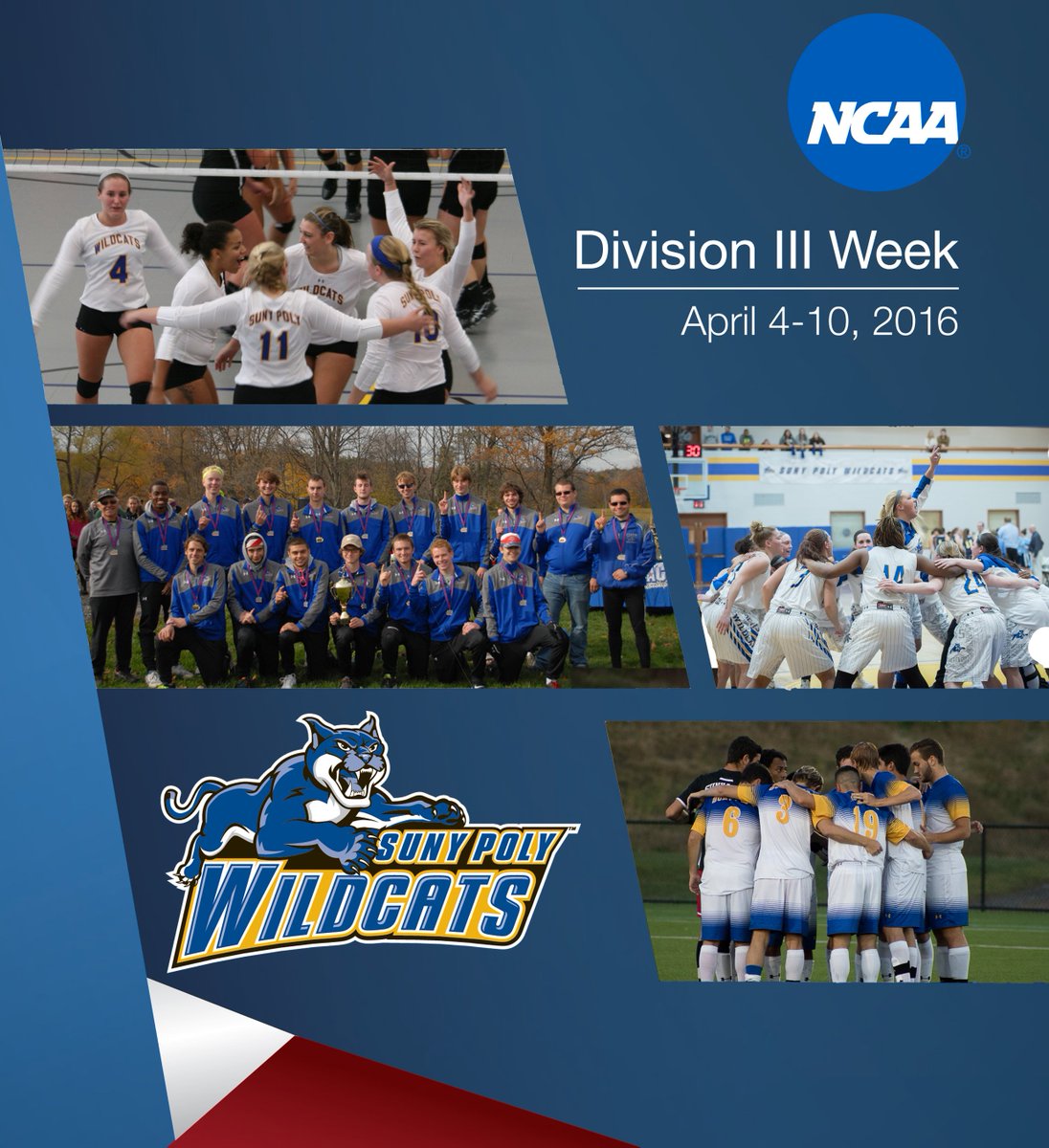 PolyWildcats's tweet photo. Happy #d3week to all the athletes and fans of #PolyCatNation!!!! https://t.co/sJV6gS1PFn