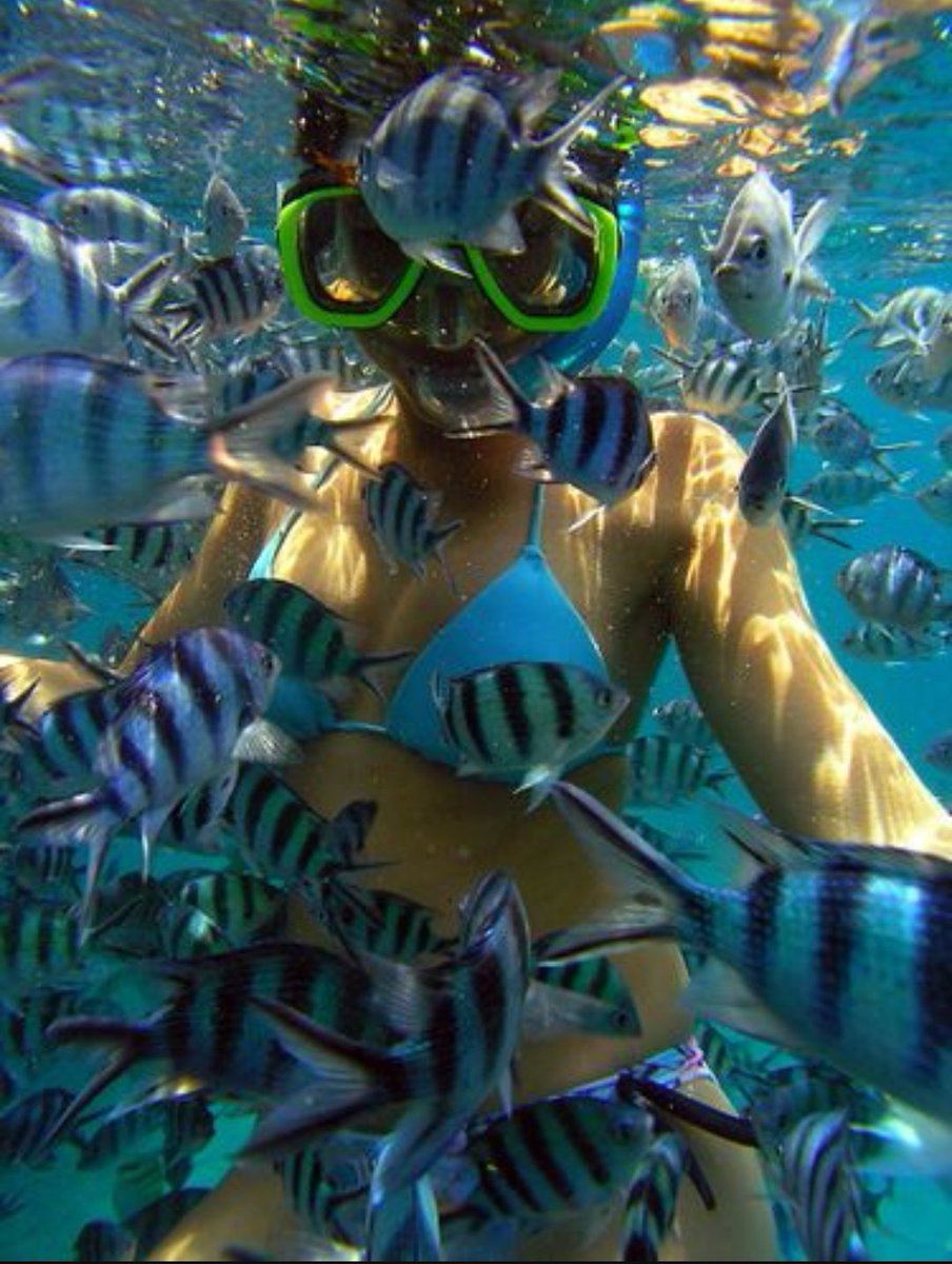 Adventurefull_'s tweet image. Follow if you belong in the sea 🌊🐟🐠