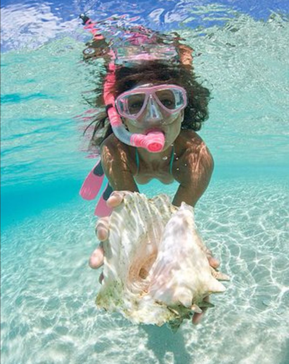 Adventurefull_'s tweet image. Follow if you belong in the sea 🌊🐟🐠