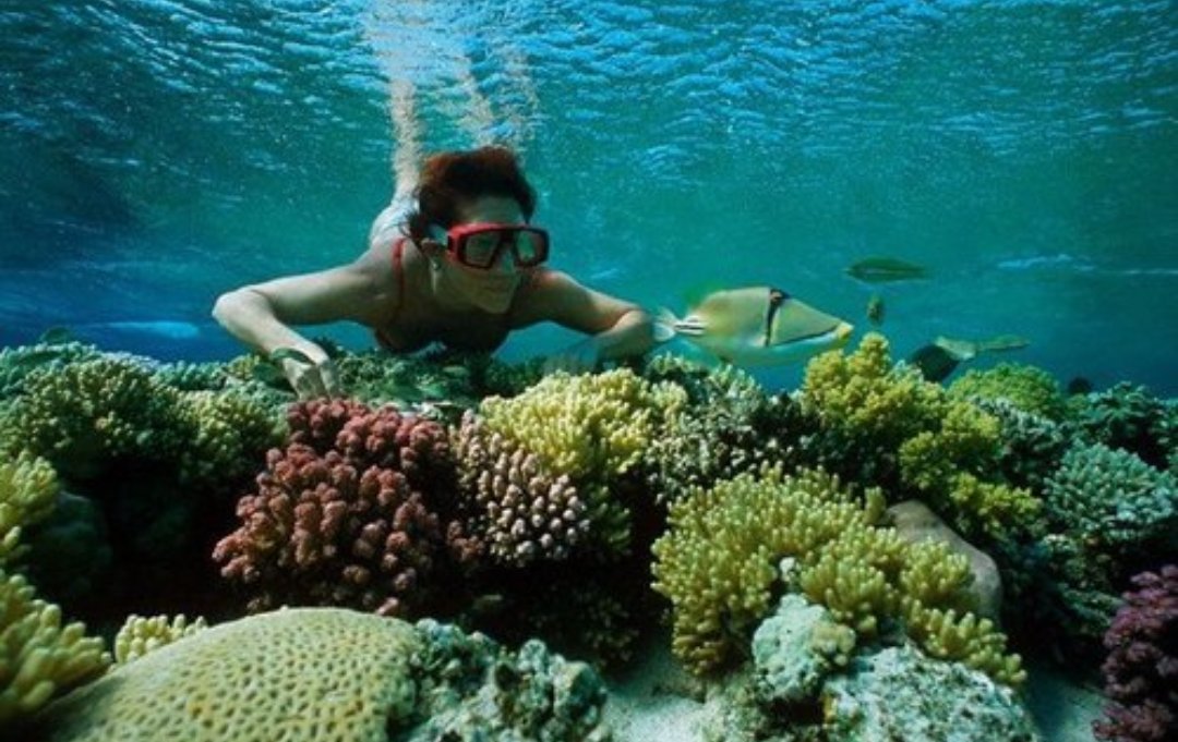 Adventurefull_'s tweet image. Follow if you belong in the sea 🌊🐟🐠