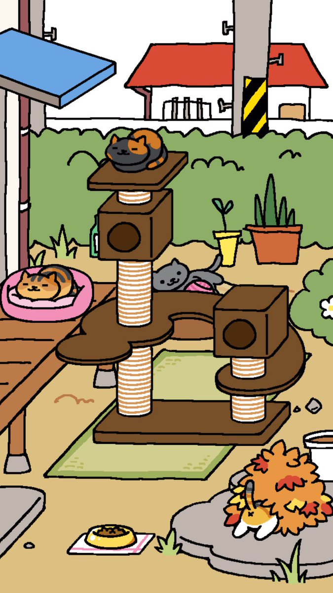 IamRubyTheCat tweet picture