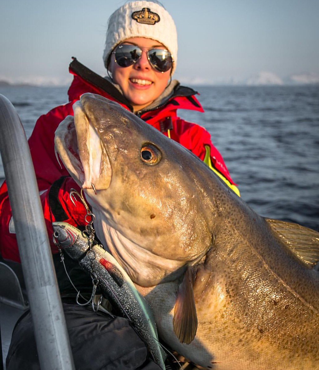 Woah!  Check out this beast by <a href="/johan_mikkelsen/">Johan Mikkelsen</a>  - so awesome!  #codfishing #codfish