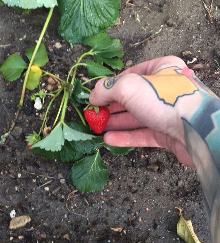 AdelTWL's tweet photo. Today I'm a proud gardener😁 https://t.co/hOfrYfYRT8