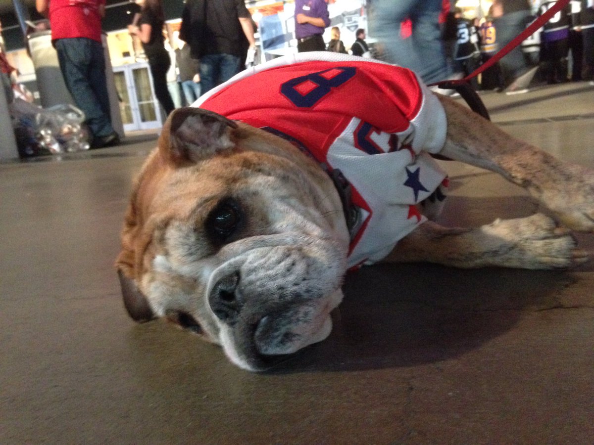 OvietheBulldog's tweet image. @tannerjpearson @MeaghanLoveday I've been hip-checked by @GustlTweets! Ok, I'll stand aside ;)))  #SomeoneHelpMeUp