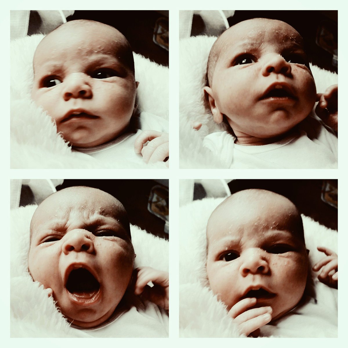 NicolleTonasket's tweet photo. So many moods in such a little dude. None of these faces end with a peaceful sleep. #SleeplessInSpokane https://t.co/M3g4MQWOtA